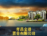 孝昌金港置業(yè)有限公司