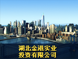 湖北金港實(shí)業(yè)投資有限公司