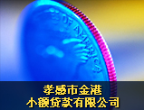 孝感市金港小額貸款有限公司