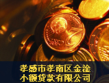 孝感市孝南區(qū)金淦小額貸款有限公司